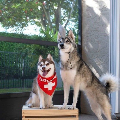 Midlee Shark vs. Lifeguard Halloween Dog Costume