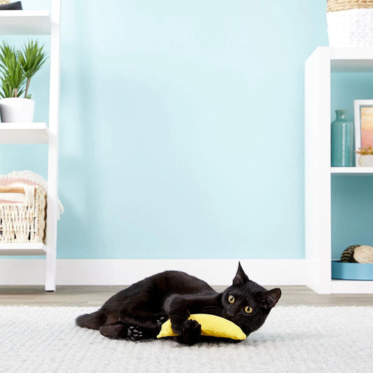 Cat with Catnip Yellow Banana Cat Toy