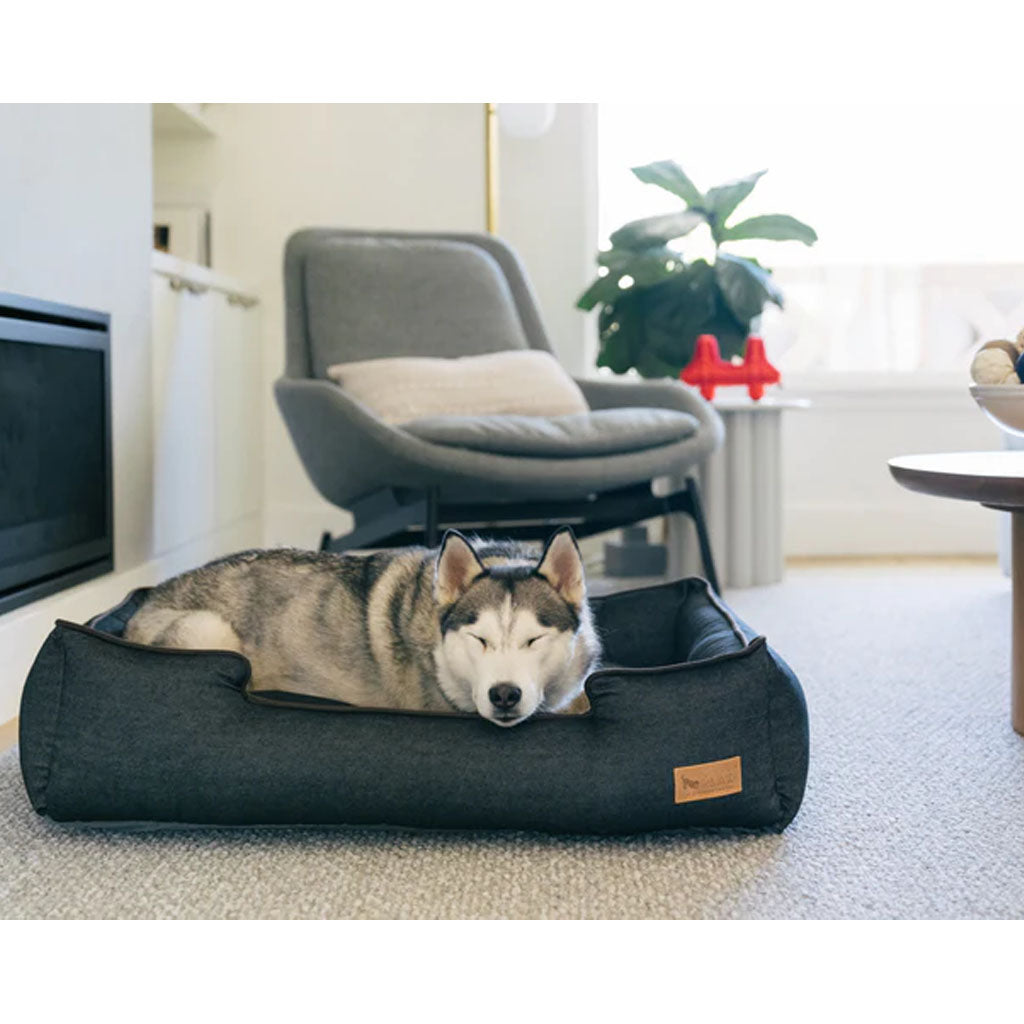 Dog laying on Denim Lounge Bed