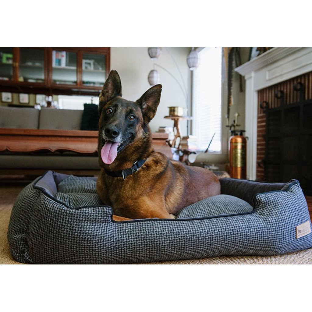 Dog laying on Houndstooth Lounge Bed