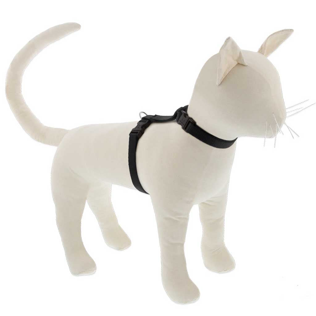 Black Cat H-Harness on a manequin cat 