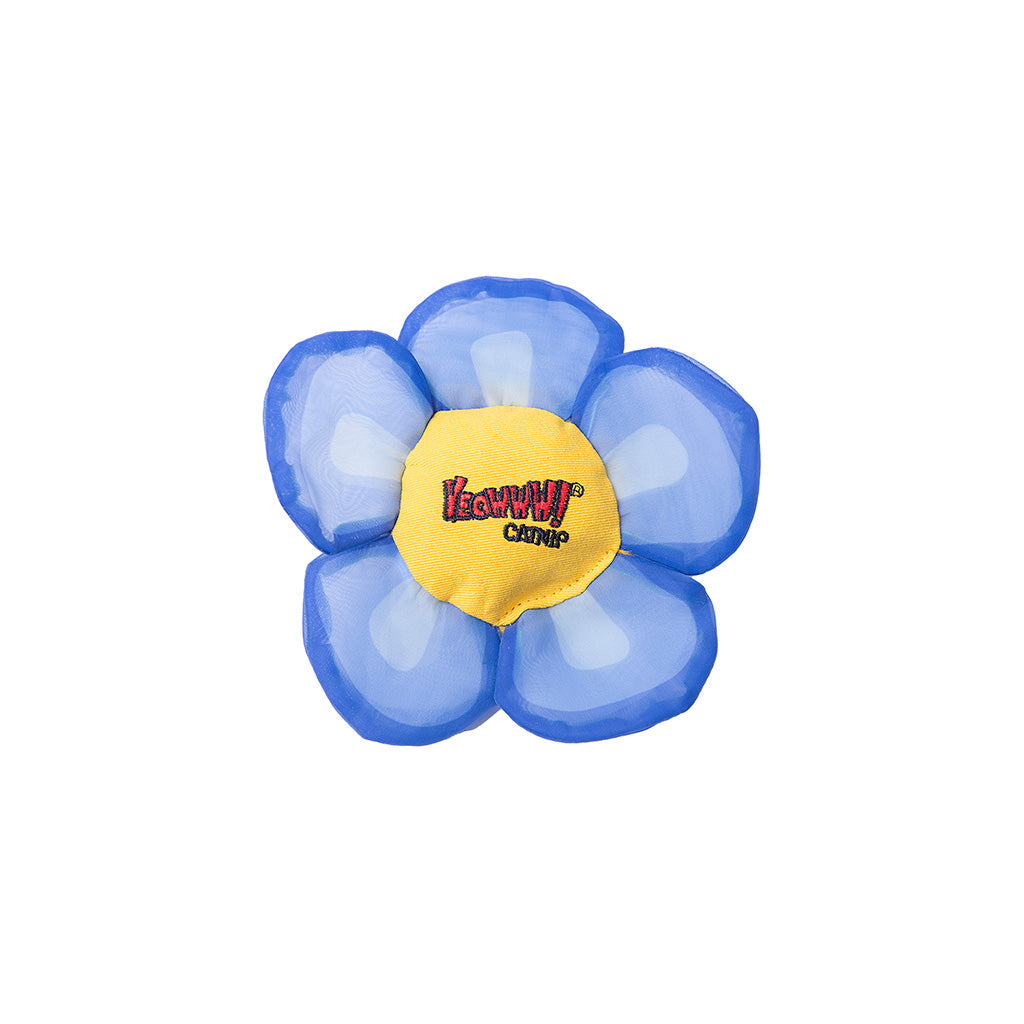 Catnip Daisy Flower Tops