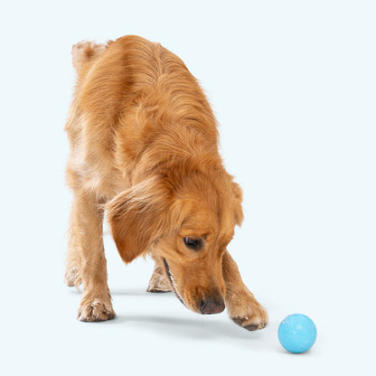 Boundr Ball 2 Pack
