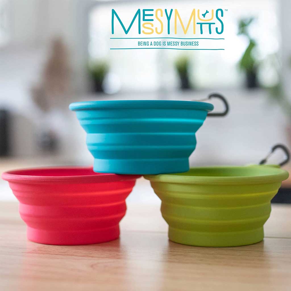 Blue, red, and green Messy Mutts collapsible silicone travel bowls shown expanded on a wooden surface.