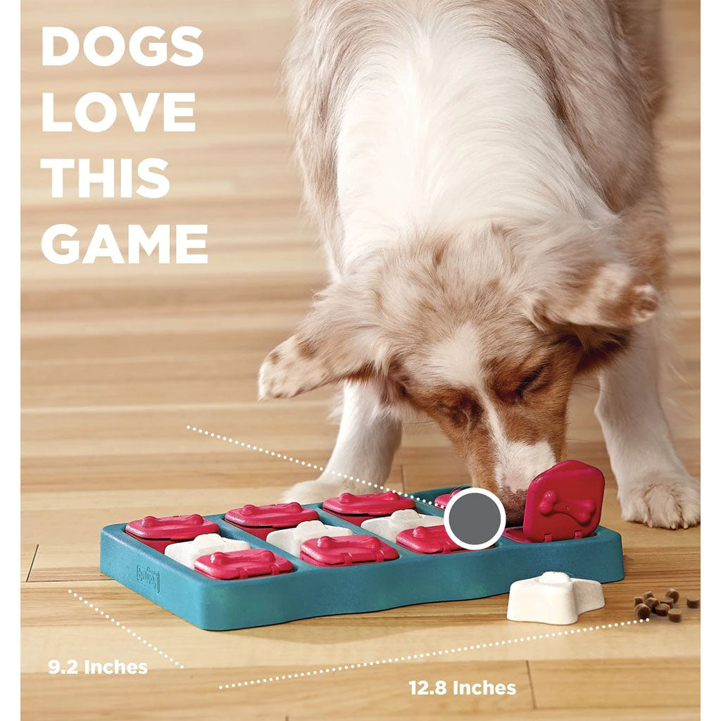 Merle dog sniffing the blue Dog Brick puzzle with red lids and white bone covers; dimension labels show 12.8 by 9.2 inches.