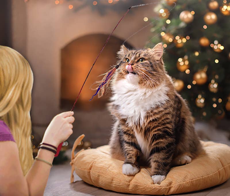 Fluffy tabby and white cat on a tan cushion watching a Wiggly Wand lure held by a person, with a decorated tree in the background.