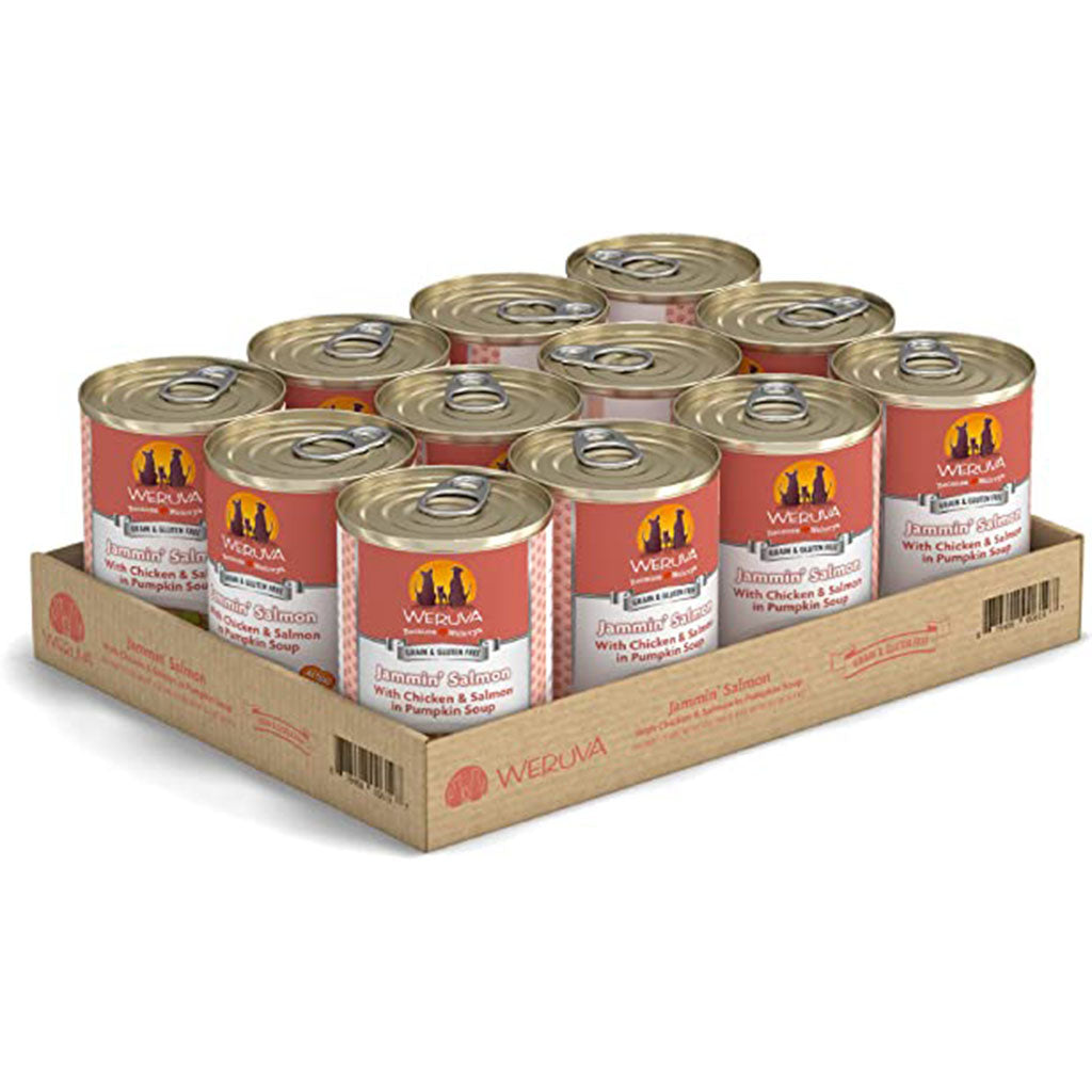 Jammin' Salmon with Chicken & Salmon in Pumpkin Soup Canned Food for Dogs case of 12 