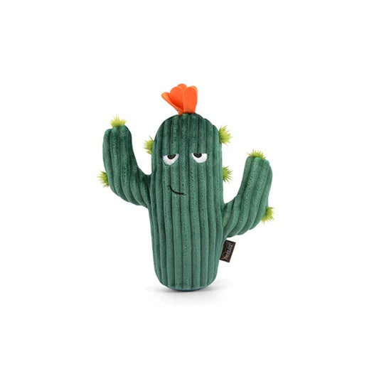 Prickly Pup Cactus