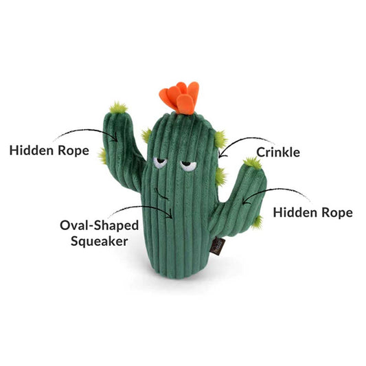 Prickly Pup Cactus