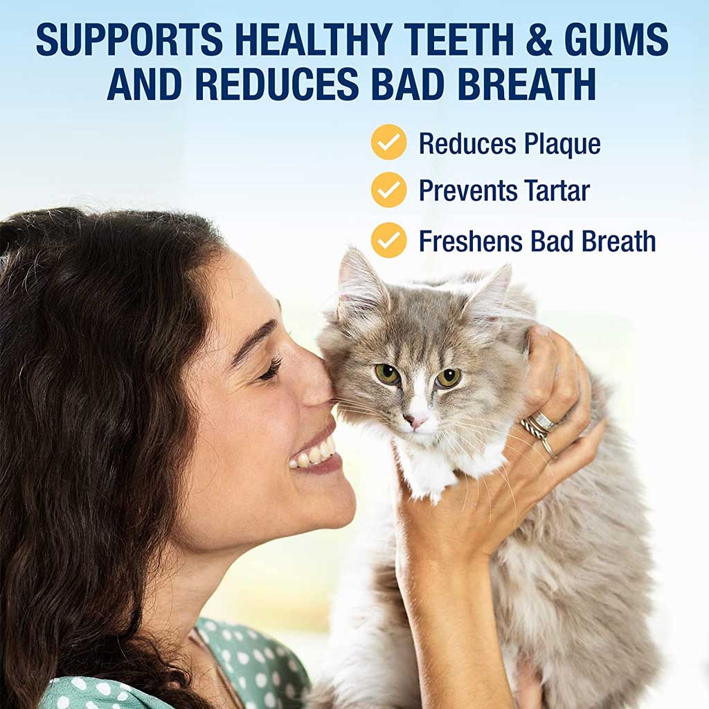 PlaqueOff Powder for Cats 1.4oz
