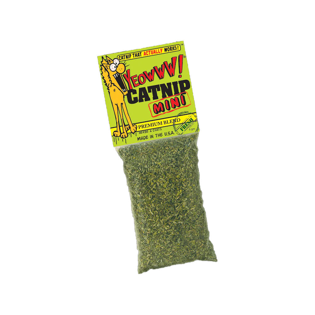 Catnip Mini 4g