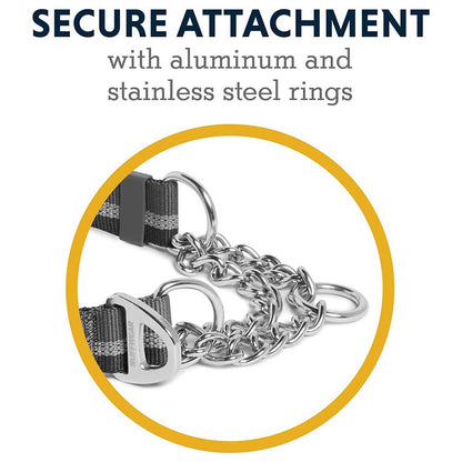 Chain Reaction Martingale Collar secure attachment point. 