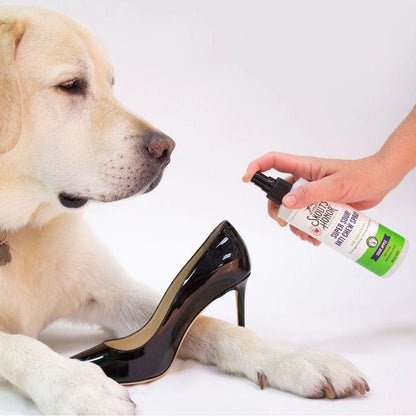 Shoe being sprayed with Anti-Chew Spray Sour Apple 8 fl oz while a dog watches 
