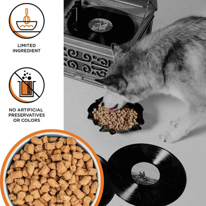 Husky eating BIXBI RAWBBLE Chicken Recipe from a bowl, with a close-up of freeze-dried pieces and limited-ingredient and no artificial preservatives or colors callouts.