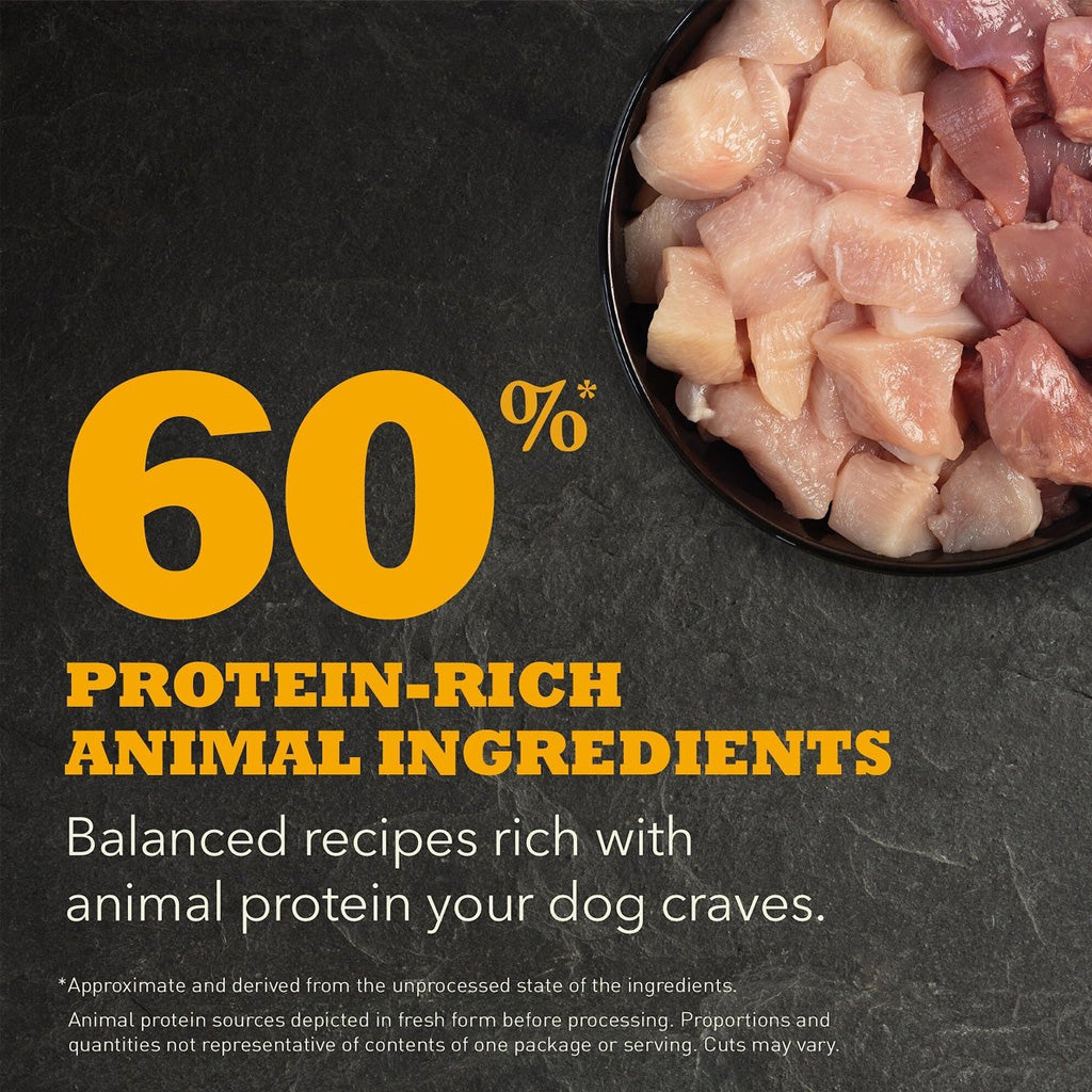 Balanced recipes with protein rich ingredients 