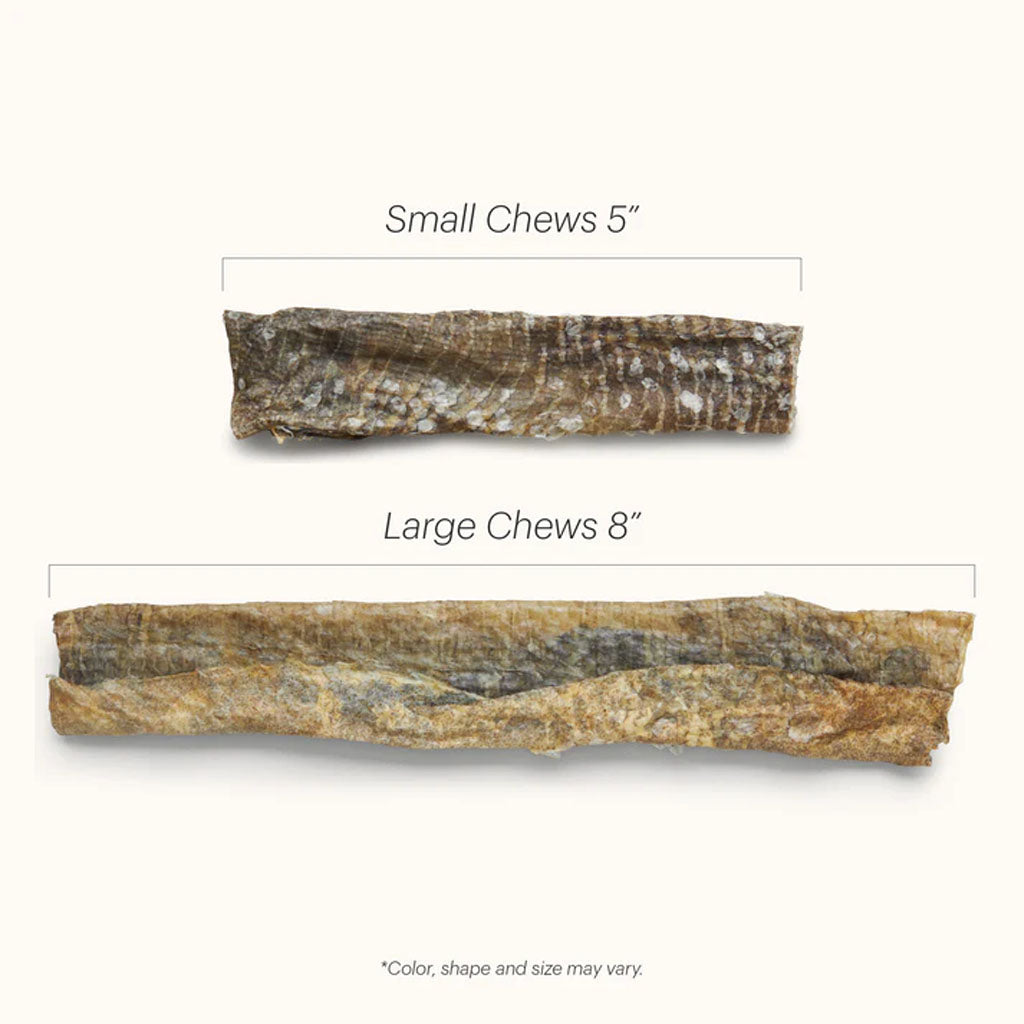 Small chew vs large chew size comparison