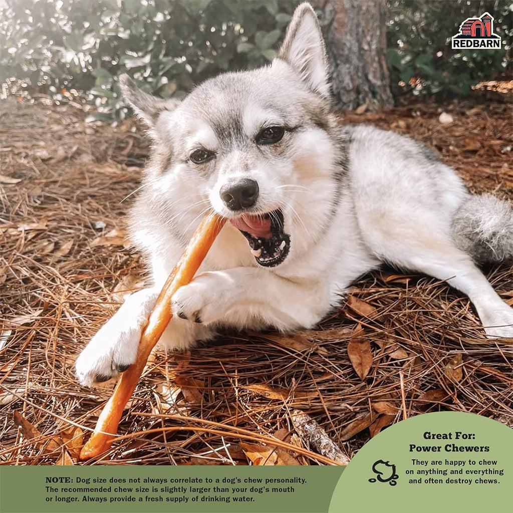 Dog chewing Collagen Stick Large 3 Pack