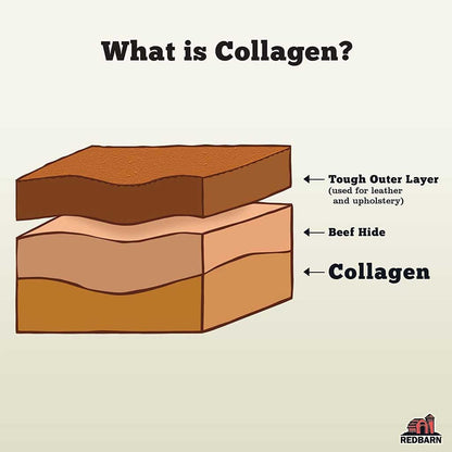 Graphic describing different layers of beef hide 