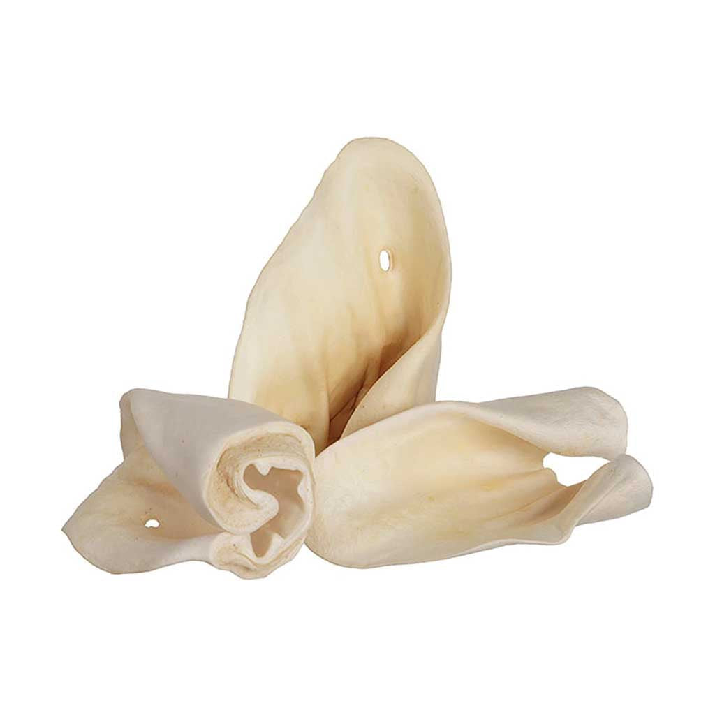 Cow Ear