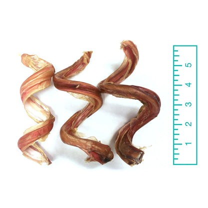 5" Curly Bully Sticks measured with a ruler 