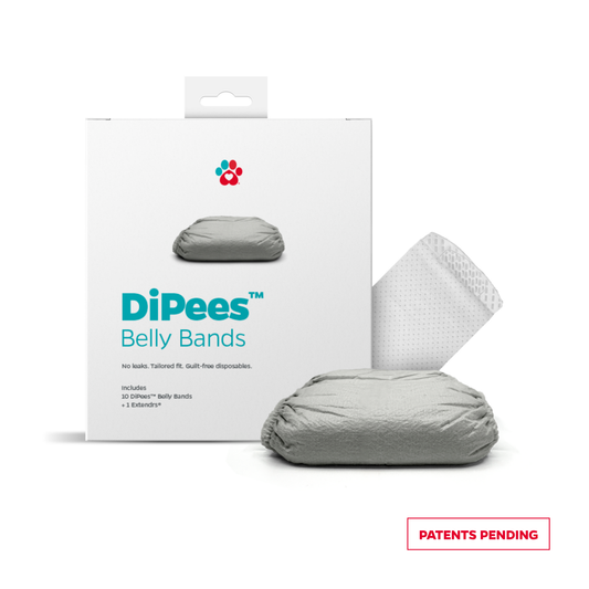 DiPees™ Disposable Belly Bands 