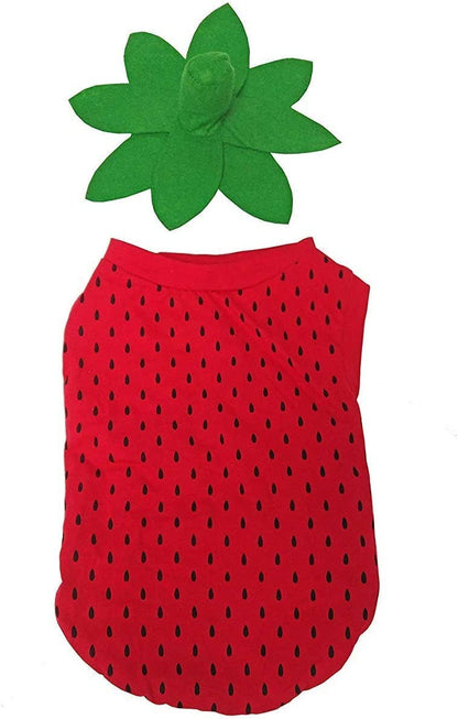 Midlee Strawberry Dog Costume