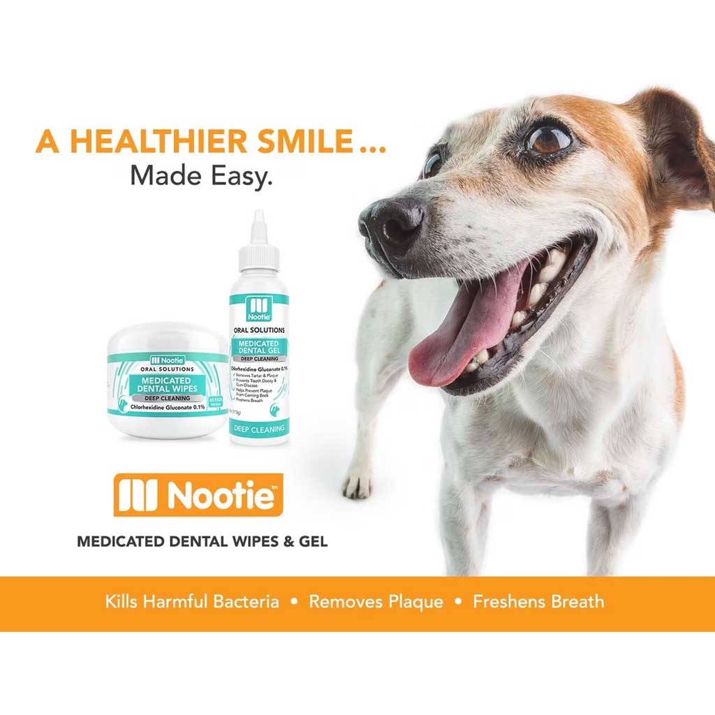Dog next to Antimicrobial Dental Wipes 60ct