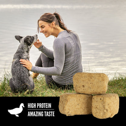 Dog eating Orijen treats 