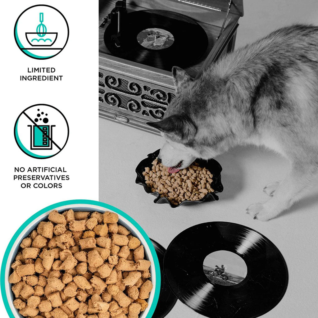 Husky eating BIXBI RAWBBLE Duck Recipe from a bowl, with a close-up of freeze-dried pieces and limited-ingredient and no artificial preservatives or colors callouts.