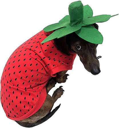 Midlee Strawberry Dog Costume