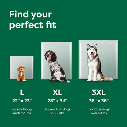 Earth Rated pee pad size guide: L 22 × 23 inches for dogs under 25 lb, XL 28 × 34 inches for dogs 25–60 lb, and 3XL 36 × 36 inches for dogs over 60 lb