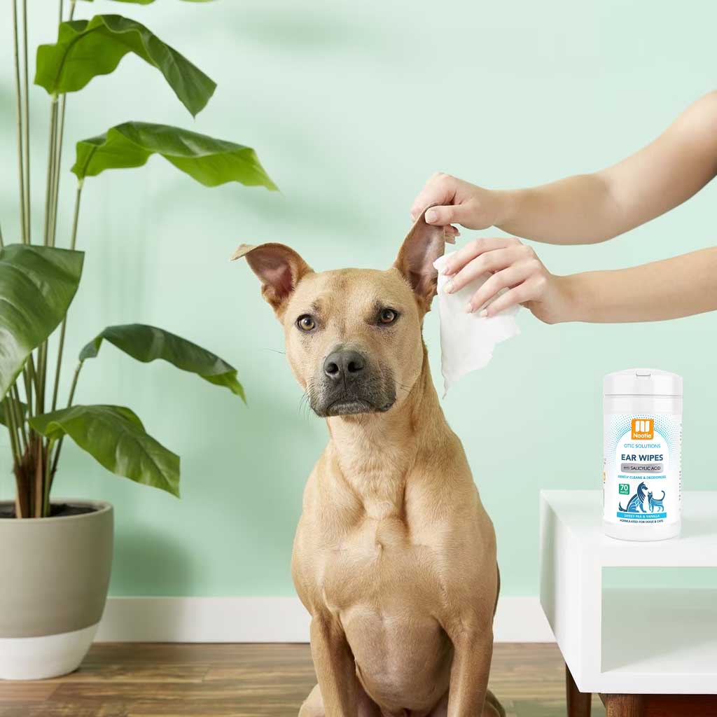 Ear Wipes Sweet Pea Vanilla 70ct being used on dog.