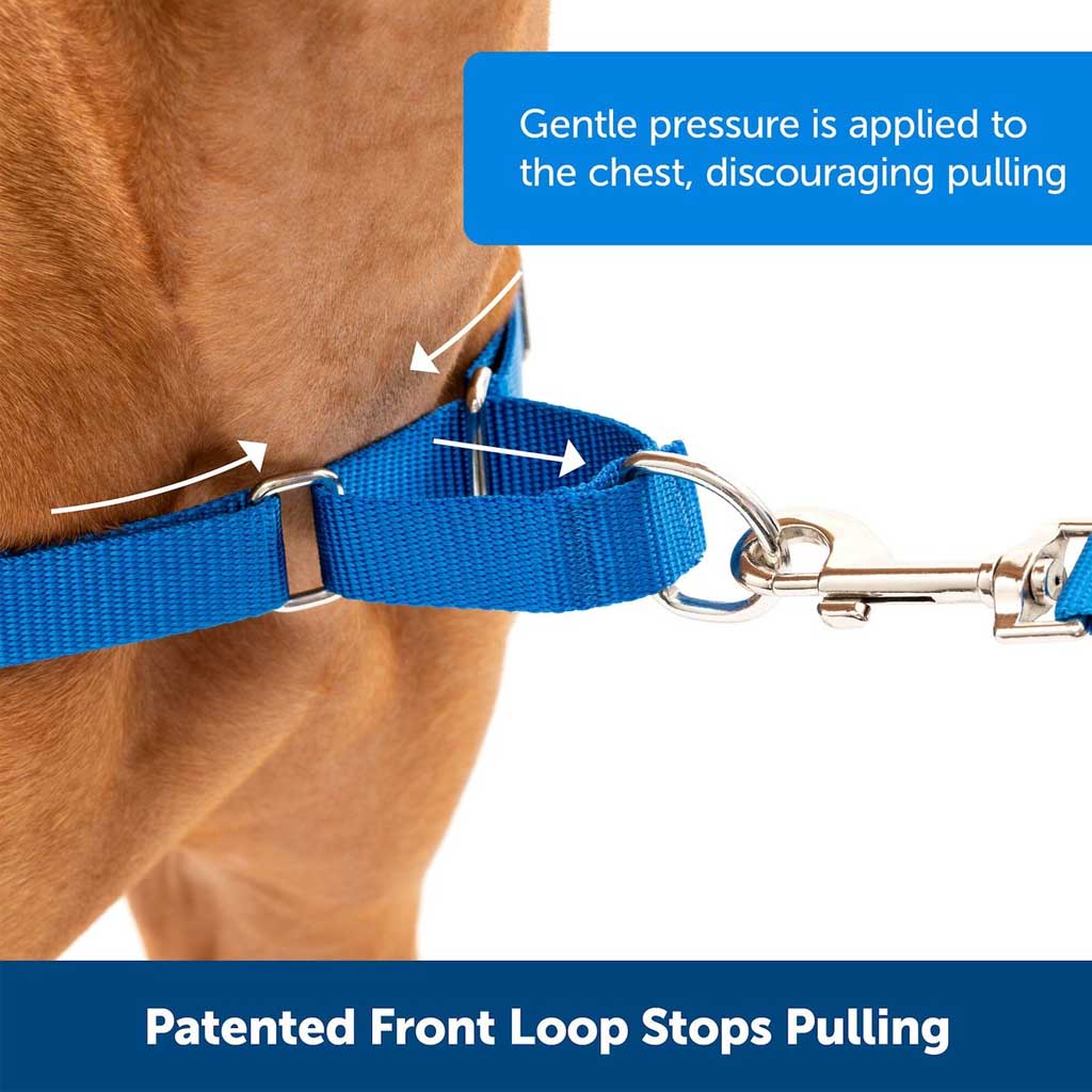 Patented front loop stops pulling by gentle pressure applied to the chest. 