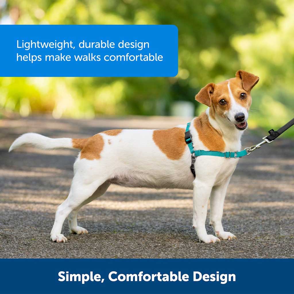 Lightweight durable design makes walks comfortable.