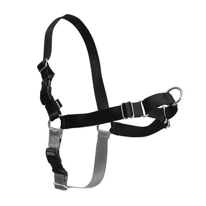 Easy Walk Harness