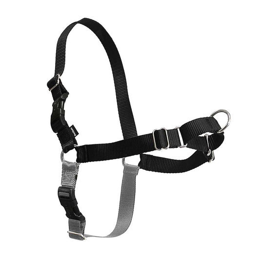 Black and silver PetSafe Easy Walk dog harness with adjustable nylon straps, quick-release buckles, and a front leash ring.