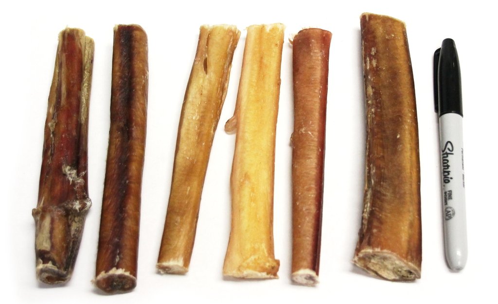 6" Thick Bully Stick compared to a pen 
