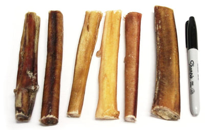 6" Thick Bully Stick compared to a pen 