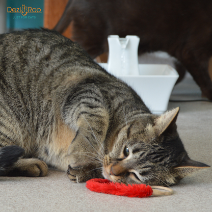 Tabby cat lying on carpet and playing with a Dezi & Roo A-Lure-Ring with a red fuzzy tail.