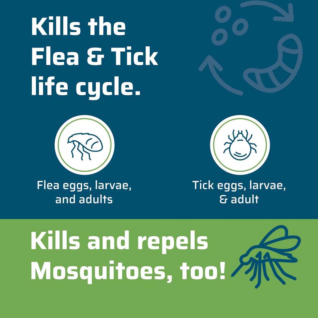 Cedarwood Scent Flea & Tick flea and tick life cycle.