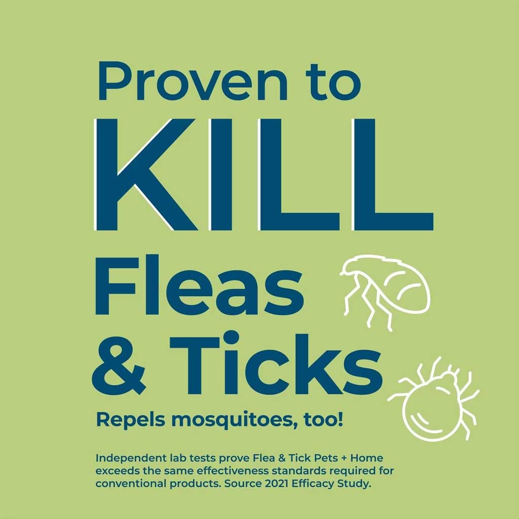 Cedarwood Scent Flea & Tick proven to work. 