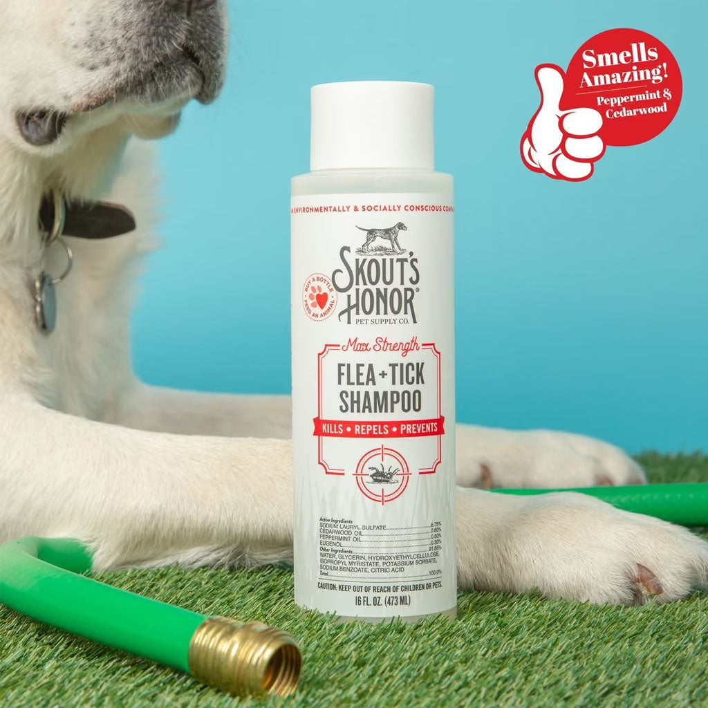 Dog laying next to shampoo bottle. Peppermint and cedarwood scented. 