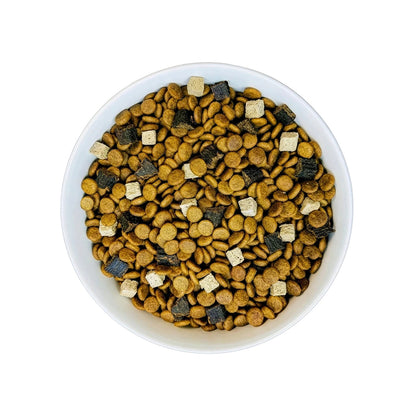 White bowl of BIXBI RAWBBLE ProteinBlend chicken dog food showing kibble, freeze-dried chunks, and air-dried jerky bites
