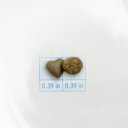 Forza10 round kibble and heart-shaped Active Fresh System tablet, each approximately 0.39 inch.