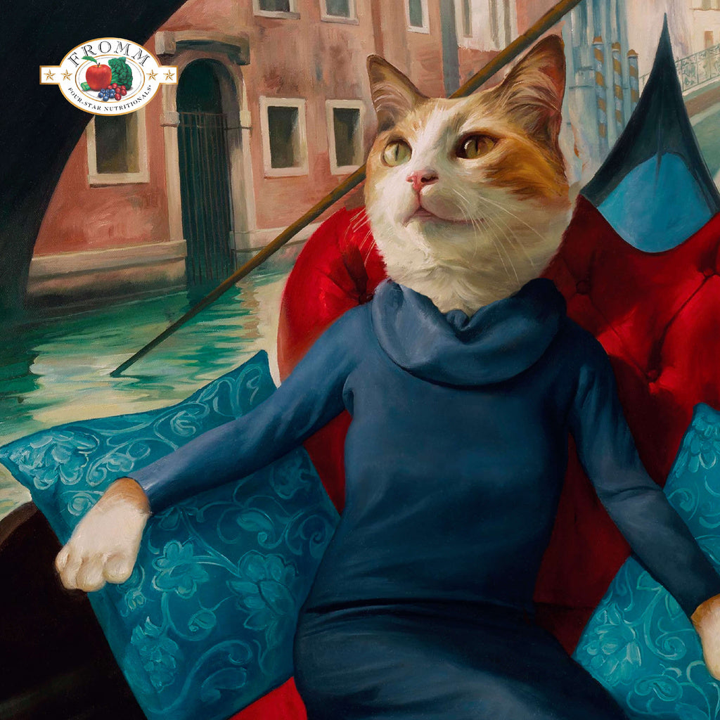 Fromm illustration of an orange and white cat wearing blue clothing in a gondola on a Venetian canal