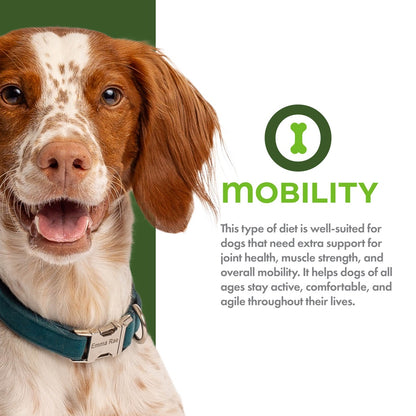 *Fromm Nutritionals Mobility Chicken & Whole Oats 4lb