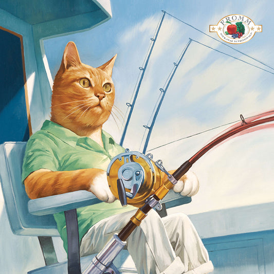 Fromm illustration of an orange cat wearing a green shirt and holding a fishing rod aboard a boat
