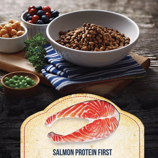 Bowl of Fussie Cat Market Fresh Salmon kibble with peas and berries, above a salmon protein first graphic