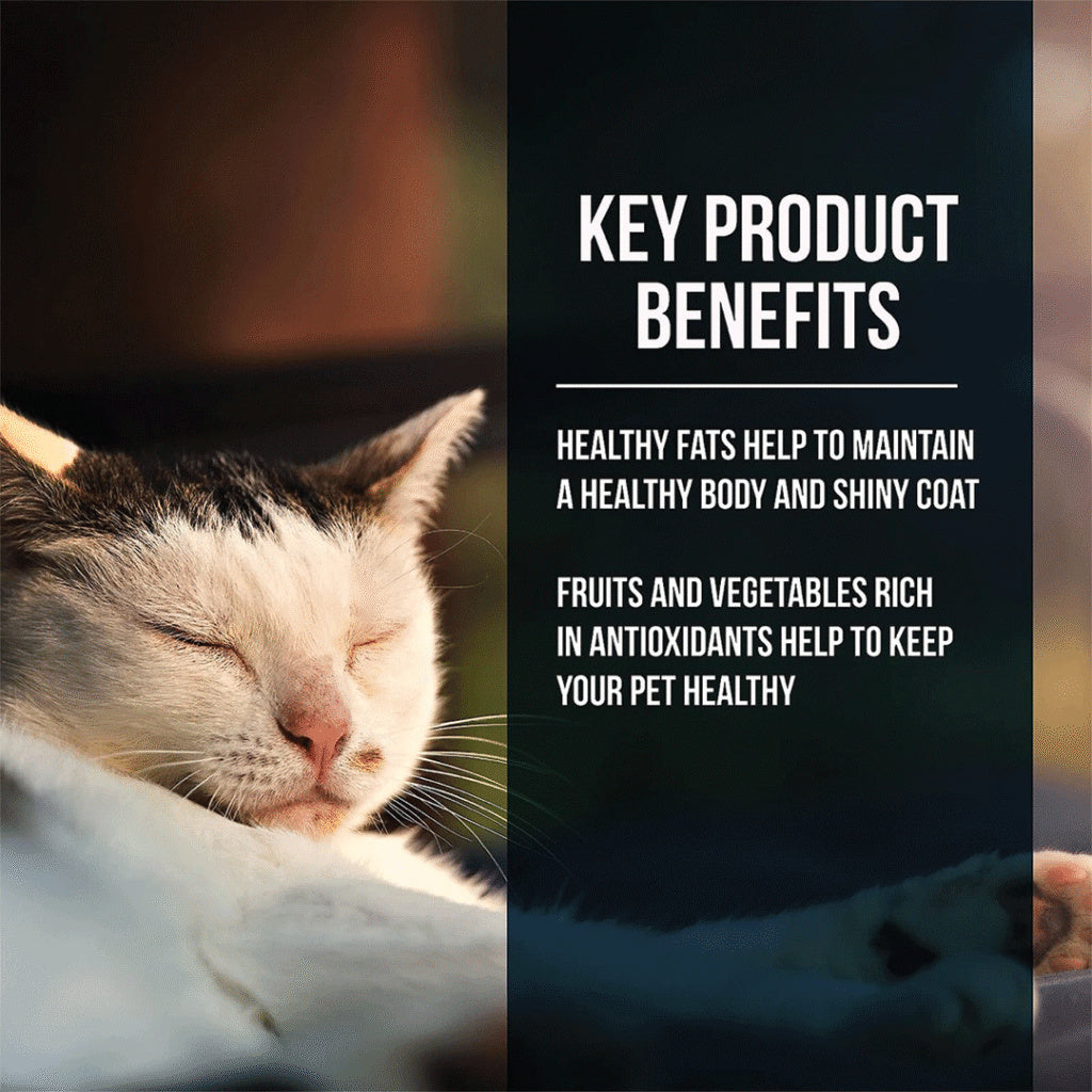 Sleeping cat beside a Fussie Cat Market Fresh Salmon benefits graphic about healthy fats, a shiny coat and antioxidant-rich fruits and vegetables