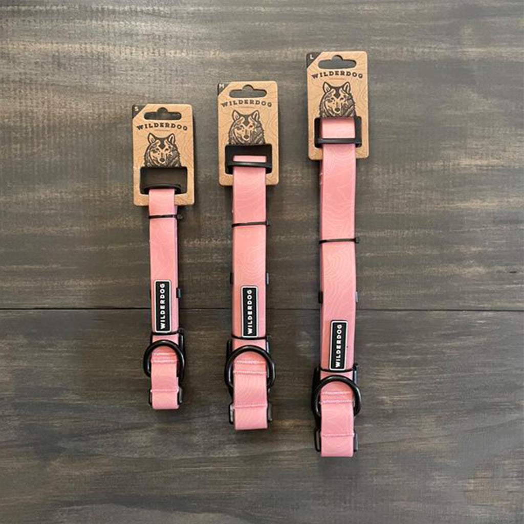 Guava Waterproof Collar in different sizes. 